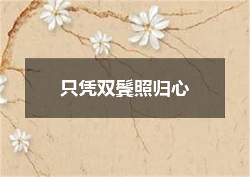 只凭双鬓照归心