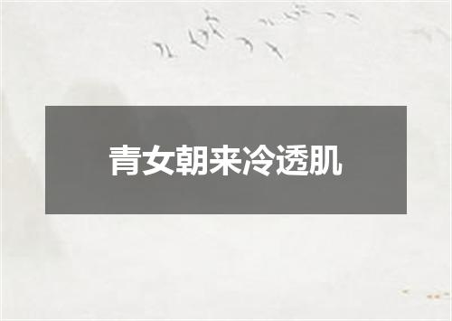 青女朝来冷透肌