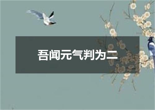 吾闻元气判为二