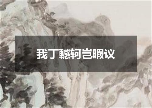 我丁轗轲岂暇议