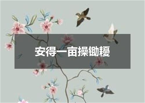 安得一亩操锄耰