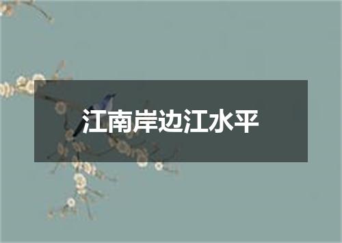 江南岸边江水平