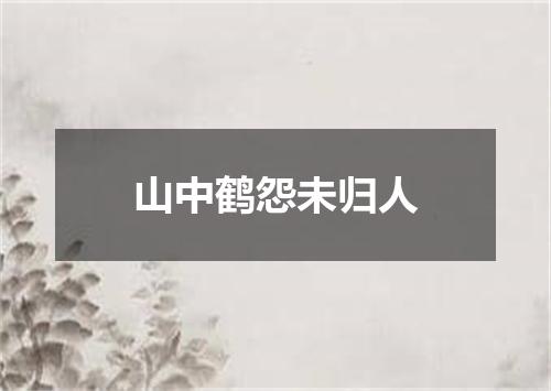 山中鹤怨未归人