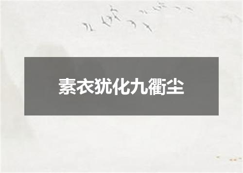 素衣犹化九衢尘