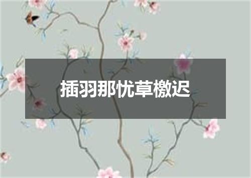 插羽那忧草檄迟