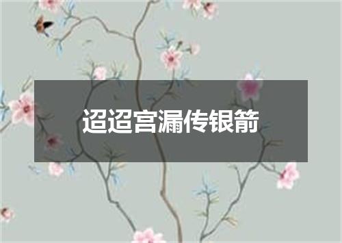 迢迢宫漏传银箭