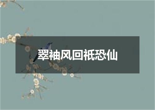 翠袖风回祇恐仙