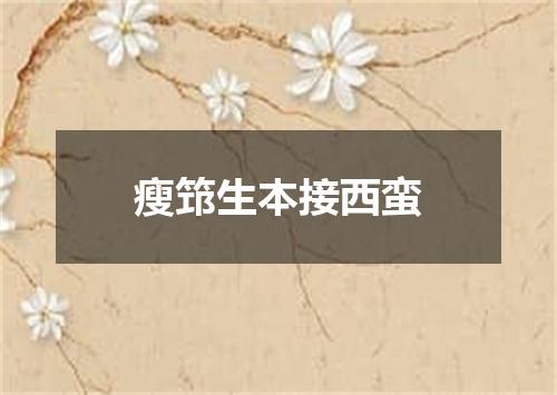 瘦筇生本接西蛮