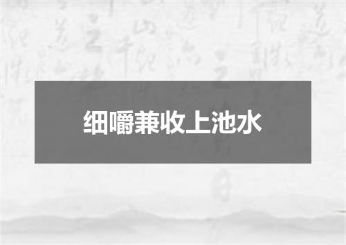 细嚼兼收上池水