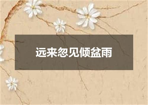 远来忽见倾盆雨