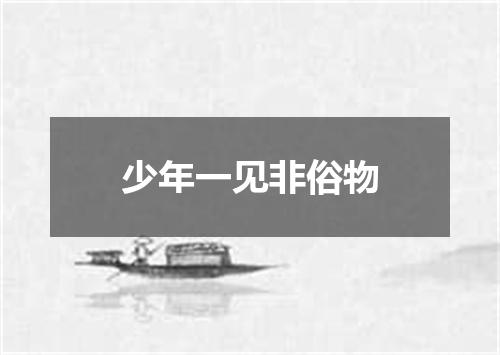 少年一见非俗物
