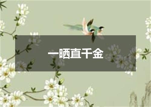 一晒直千金