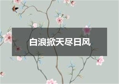 白浪掀天尽日风
