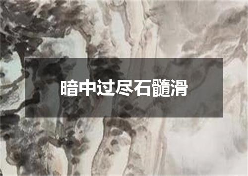 暗中过尽石髓滑
