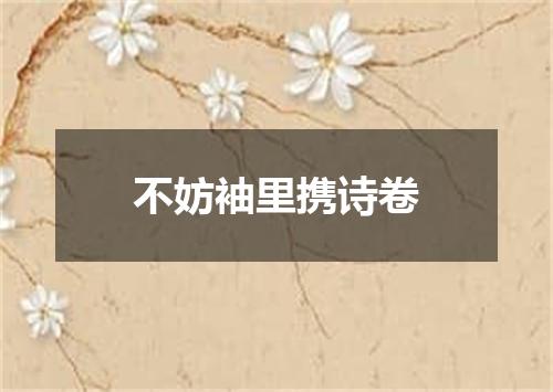 不妨袖里携诗卷