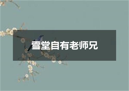 雪堂自有老师兄