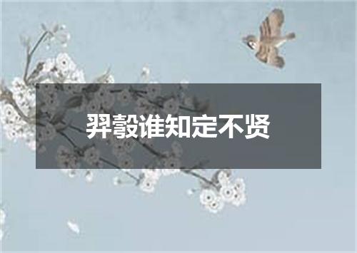 羿彀谁知定不贤