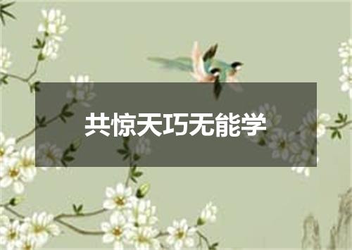 共惊天巧无能学