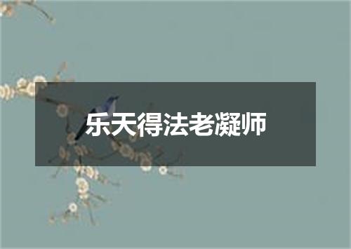 乐天得法老凝师