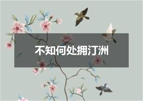 不知何处拥汀洲