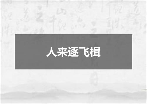 人来逐飞楫