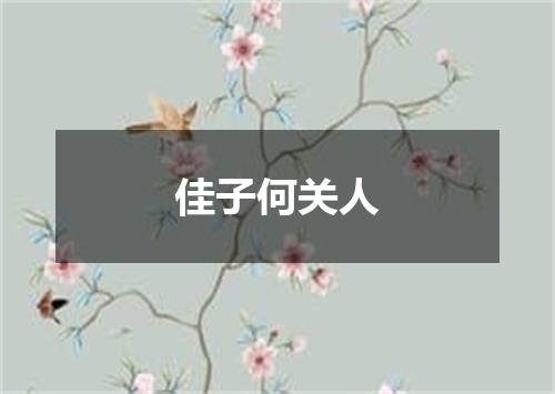 佳子何关人