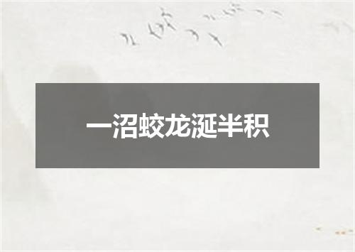 一沼蛟龙涎半积