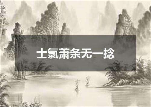 士氯萧条无一捻