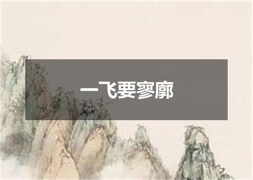 一飞要寥廓