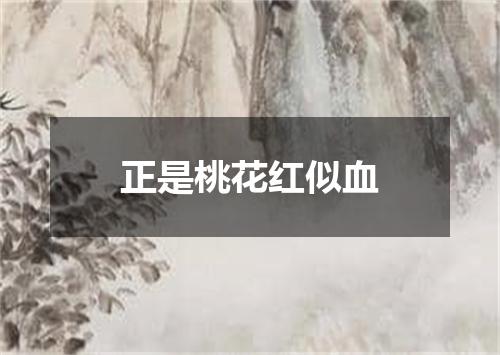 正是桃花红似血