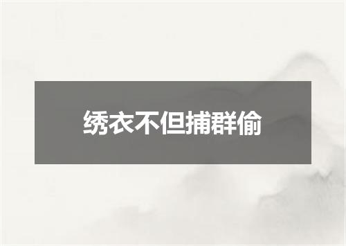 绣衣不但捕群偷