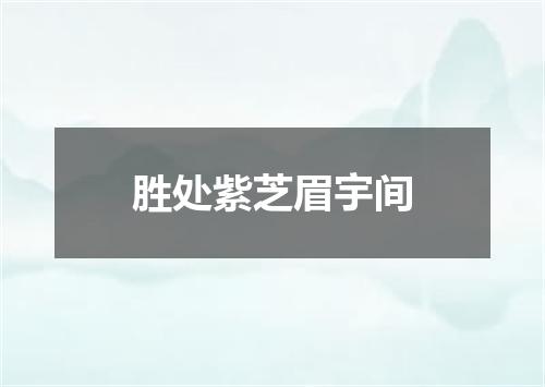 胜处紫芝眉宇间