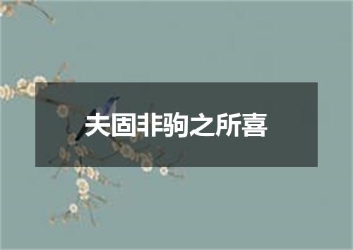 夫固非驹之所喜