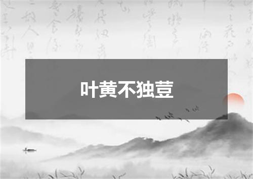 叶黄不独荳