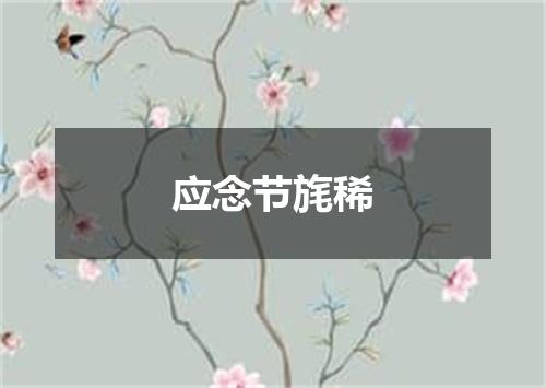 应念节旄稀