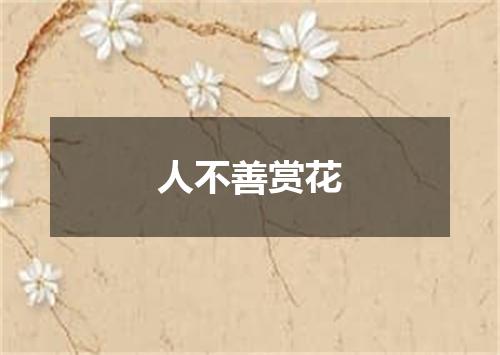 人不善赏花
