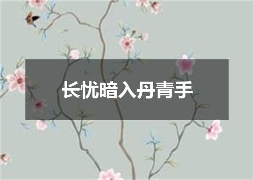 长忧暗入丹青手