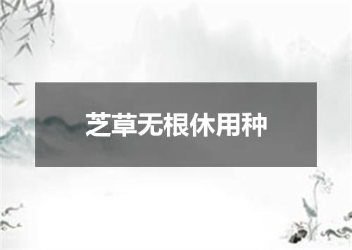 芝草无根休用种