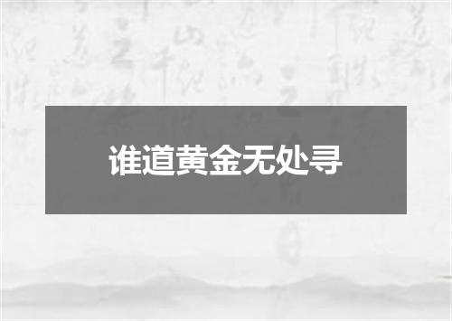 谁道黄金无处寻