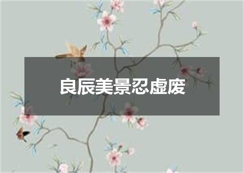 良辰美景忍虚废