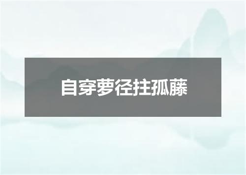 自穿萝径拄孤藤