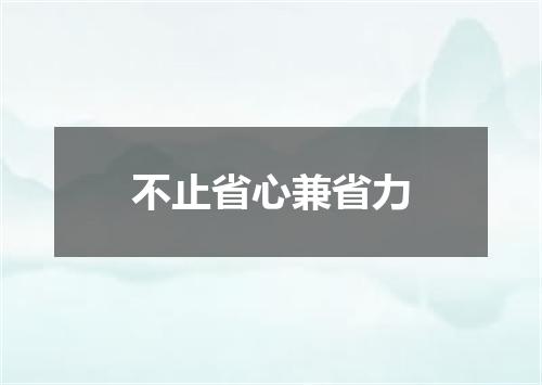 不止省心兼省力