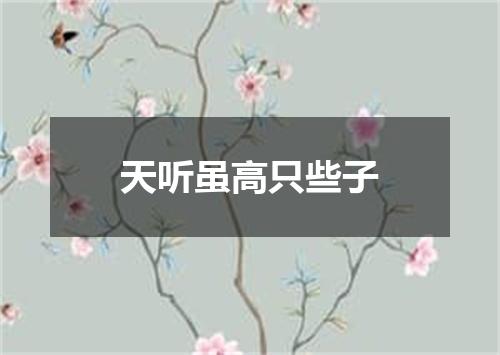 天听虽高只些子