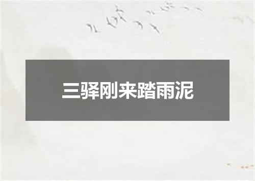 三驿刚来踏雨泥