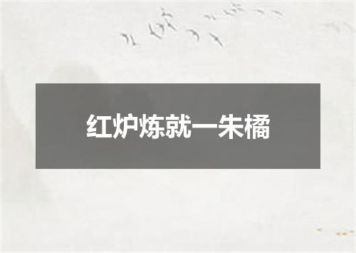 红炉炼就一朱橘