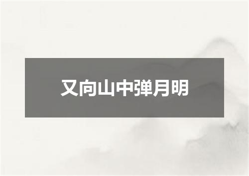 又向山中弹月明