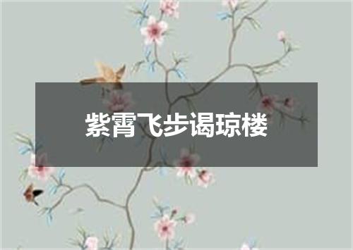 紫霄飞步谒琼楼