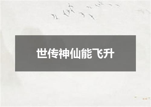 世传神仙能飞升