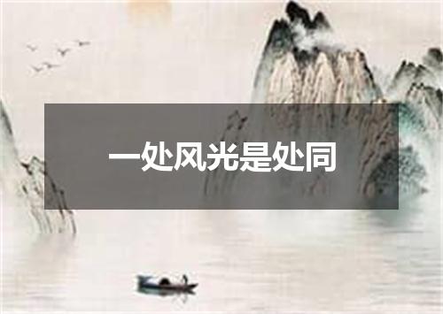 一处风光是处同