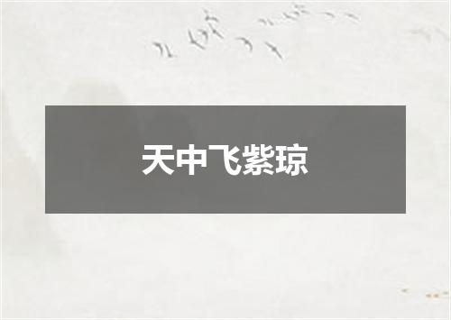 天中飞紫琼